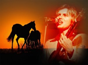 Красный конь (В. Дьяконов) разбор на гармони №-175 с цифрами