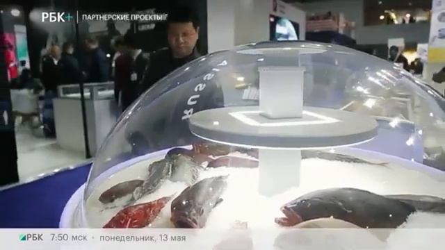 В Брюсселе прошла Международная выставка рыбы и морепродуктов смотреть онлайн