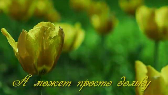Видеопожелание на 8 марта