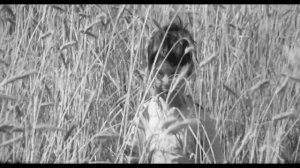 Лена Василек и гр."Белый день".Колыбельная