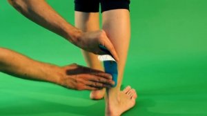 Кинексиб --- инструкция. Икроножная мышца