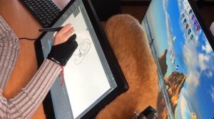 ОБЗОР НА ГРАФИЧЕСКИЙ ПЛАНШЕТ HUION Kamvas 20 (не PRO)/ Мини обзор / ЛАПКА ХУДОЖНИКА