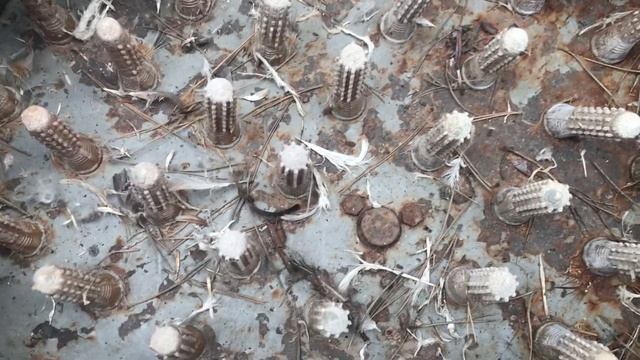 Перо щипалка. В помощь птицеводу смотреть онлайн