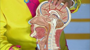 Три теста, если у ребенка все время открыт рот. Жить здорово! Фрагмент выпуска от 30.08.2016