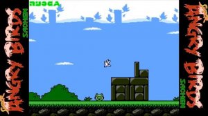 Super Angry Birds (Unl) (NES Pirate) - NES Longplay - (Complete Walkthrough) (FULL GAMEPLAY)