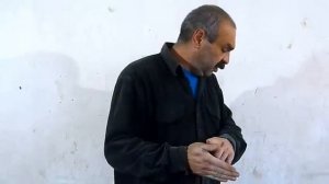 Чем кормить перепелов. Часть 2. Перепела разведение. От А и до сковородки.