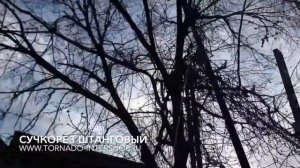 Сучкорез штанговый с пилой
