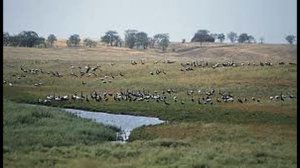 Рельеф Земли.1.Равнины.Описание равнин по карте