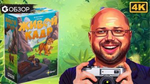 ЖИВОЙ КАДР - ОБЗОР | настольная игра Perfect Shot| Geek Media 4K