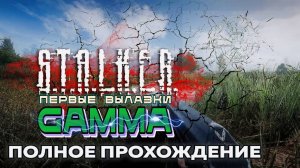 STALKER Anomaly /// GAMMA ▶ Первые вылазки ▶ 04