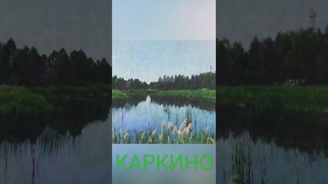 #каркино#кировочепецк