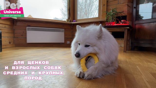 PU3059 Игрушка для собак Pet Universe пуллер прочное кольцо 17 см, вспененный смотреть онлайн