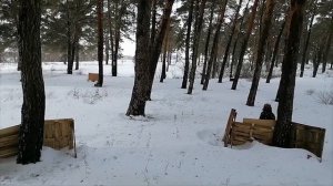 Игровое пространство "Спецназ дети"