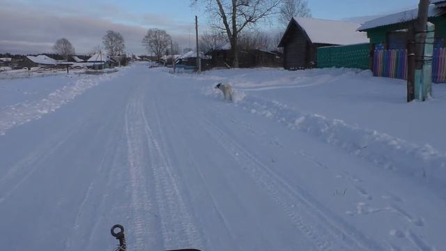 Деревенские забавы. смотреть онлайн