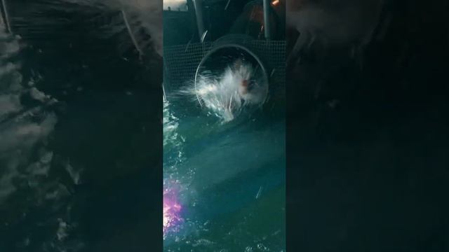 Дзень Нараджэння Ясенькі. Частка 4 (заключная). Добры быў Дзень. смотреть онлайн