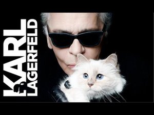 Восхитительная история знаменитого бренда KARL LAGERFELD