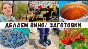 Вот как делают вино в селе 👍Дедушка поёт 🤣 Старая кухня/ Родители меня жалеют ❤️ Заготовки на зиму