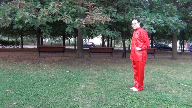 Шаолинь пять кулаков цигун, Шаолинь Уцюань， тигр 01