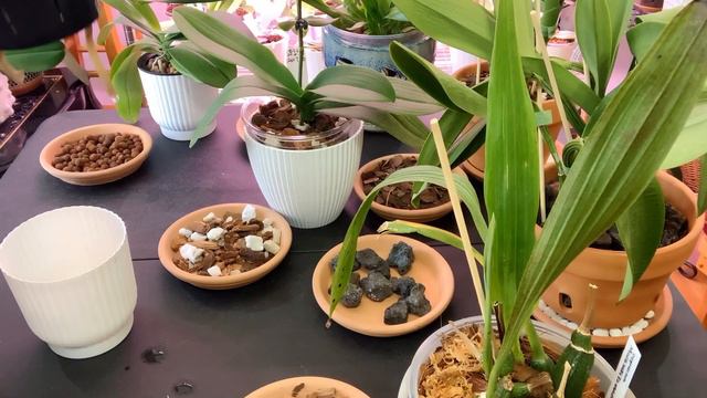 Types of Orchid Media How many types of orchid media is there? Comee see! смотреть онлайн