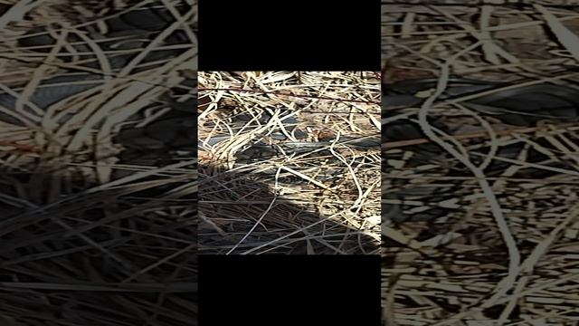 Ужики смотреть онлайн