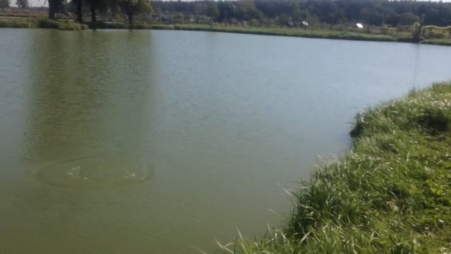 Тест на прочность для Itumo GRIZZ75SPM смотреть онлайн