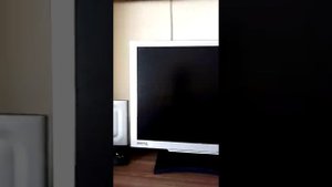 100% как запустить  сталкер народная солянка