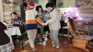 Новый год 2023-24