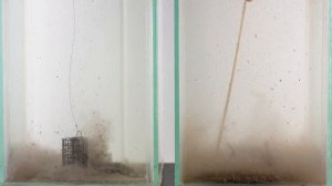 Рыболовная Прикормка под водой. Как себя ведёт.