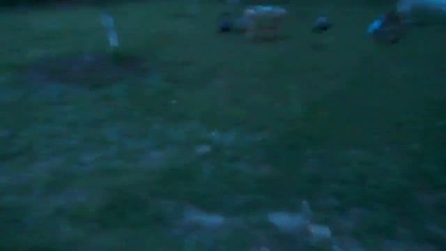 Рывок двух гирь одной рукой 48 кг смотреть онлайн