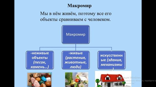 Естествознание. Урок №5 Макро- и микромир