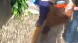 testamento8/ostiense