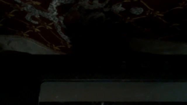 Видео с веб-камеры. Дата: 8 февраля 2014 г. 12:41.