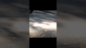 продолжение эвакуации в школе