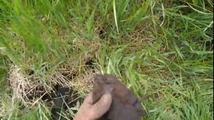 ОФИГИТЕЛЬНЫЙ КОП-Поиск чермета-металлолома с металлоискателем 29 МАЯ