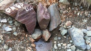 Кислые источники 2021 год