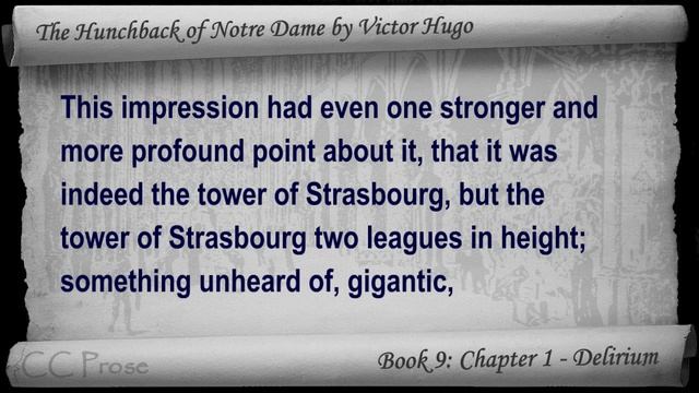 Book 09 - Chapter 1 - The Hunchback of Notre Dame by Victor Hugo - Delirium смотреть онлайн