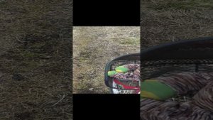 2 часть влога