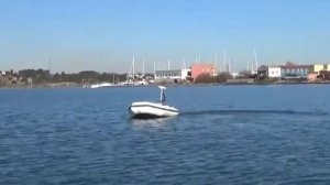 Лодочный электромотор Haswing Cayman  T 55