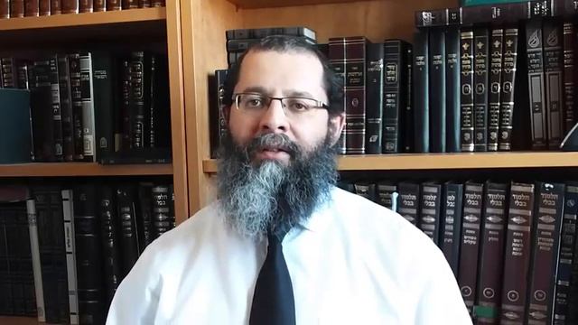 Рав Элиагу Левин. Книга "Ваикра". Глава "Шмини" 5776 год смотреть онлайн