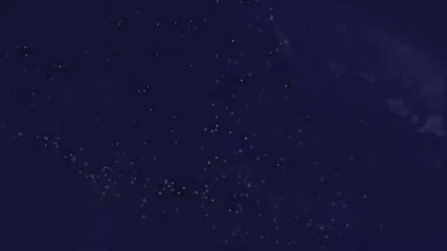 Audio React LITE смотреть онлайн