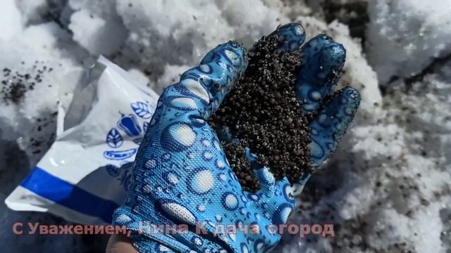 ЧЕМ ПОДКОРМИТЬ КЛУБНИКУ РАННЕЙ ВЕСНОЙ! смотреть онлайн