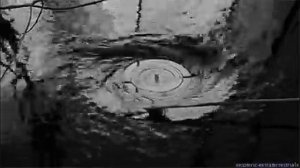 Элли на маковом поле - Любовь моя