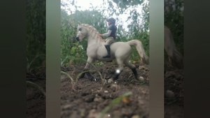 Лошади фигурки ✨💞