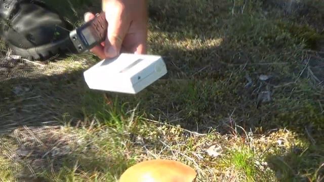 На радиоактивном могильнике с Володей и журналистом смотреть онлайн