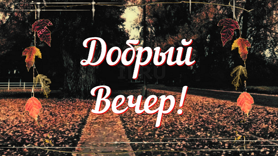 Хорошего вечера! Желаю приятной атмосферы, спокойствия и легкости!