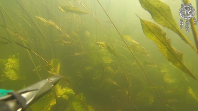 Хобда космический прозрак смотреть онлайн