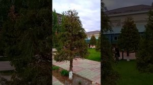 отдых в Казахстане санаторий Жанакорган ,лето в апреле