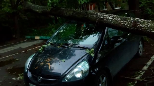 Ураган в Москве 29.05.2017 дерево упало на машину смотреть онлайн