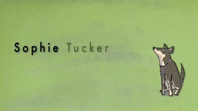 An Incredible Adventure - UNIT 5 - Starlight 5 смотреть онлайн