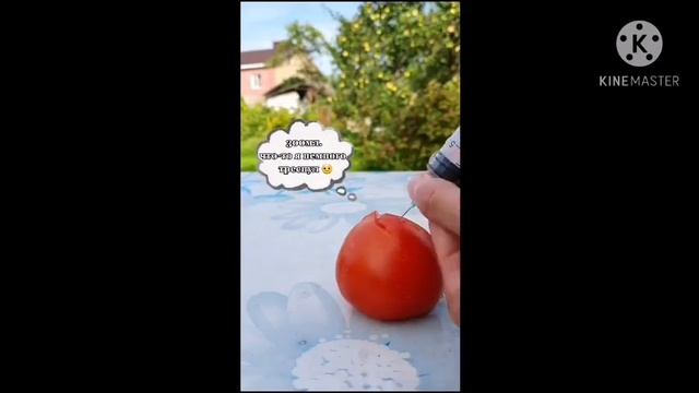 Сколько выдержит воды (перец, мандарин, помидор и лимон) смотреть онлайн